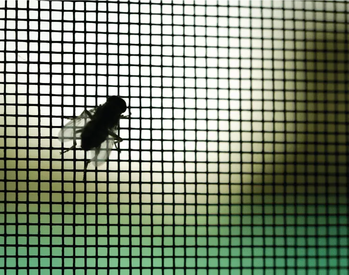 Retractable Screen Mesh Options by Mirage Screens