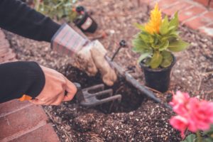 spruce up your garden