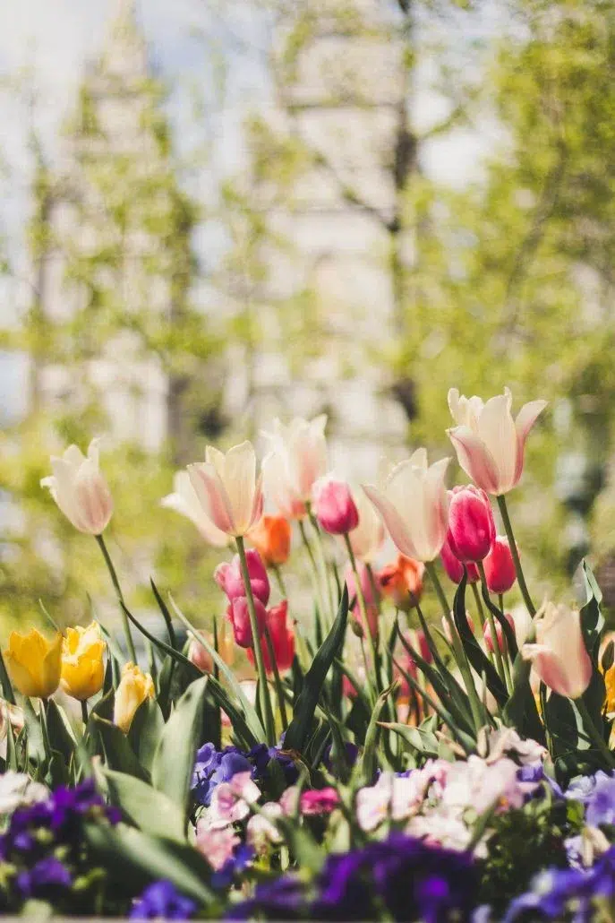 Get Your Home Spring and Summer Ready!