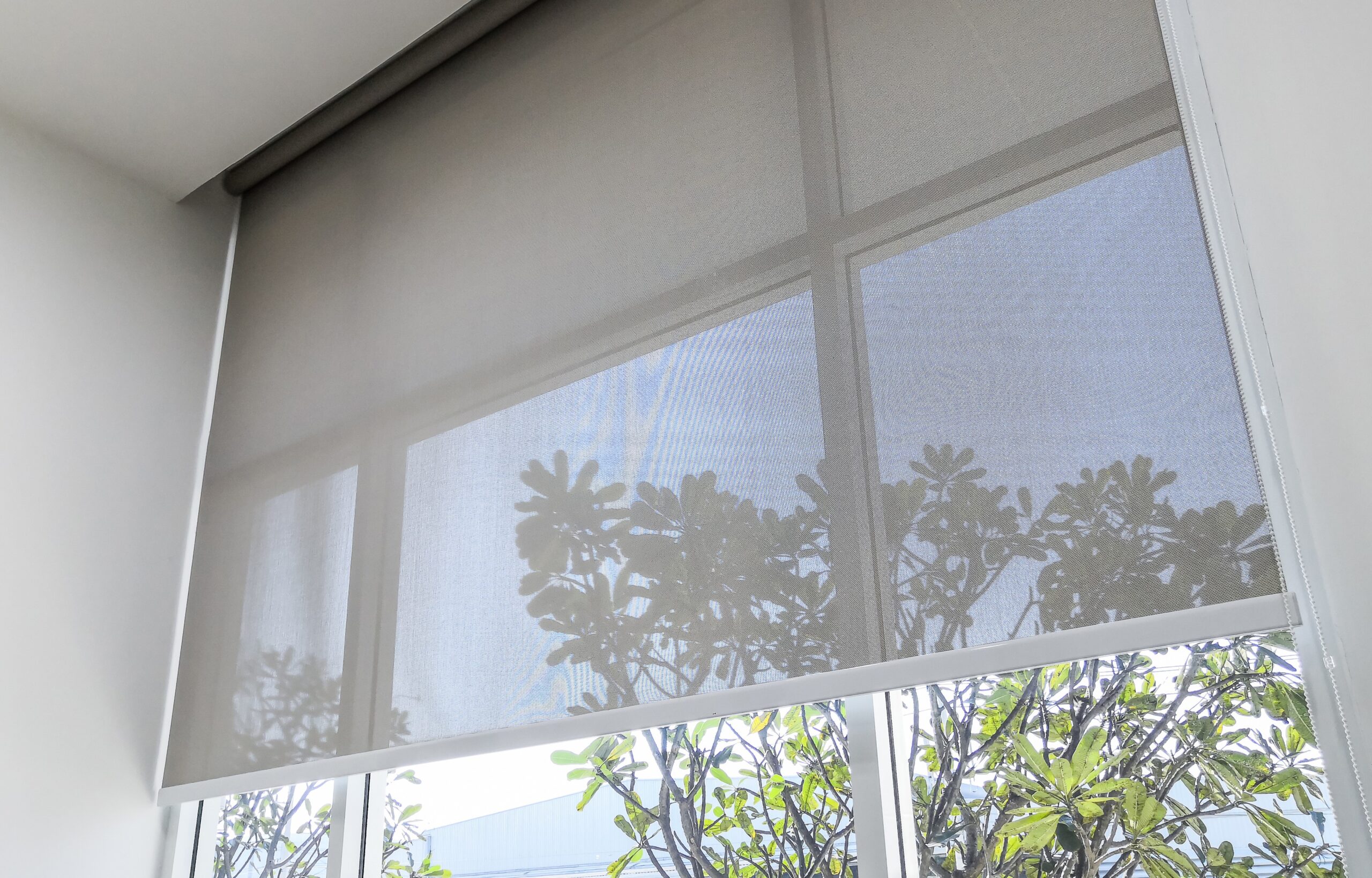 Roller Shades vs. Solar Shades: Which is Right for Your Outdoor Space?
